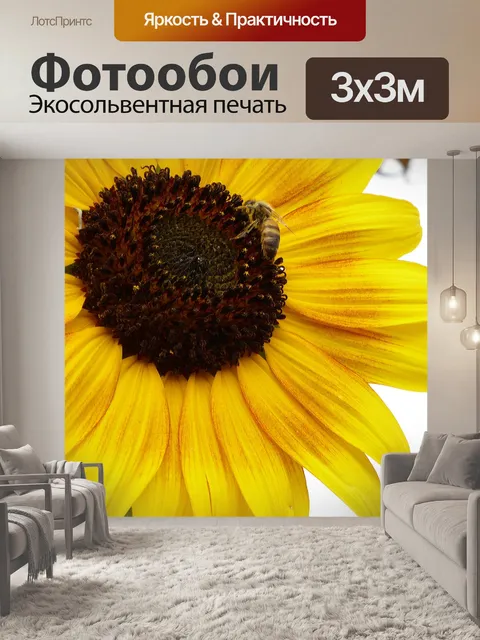 Фотообои Пчела на подсолнечник