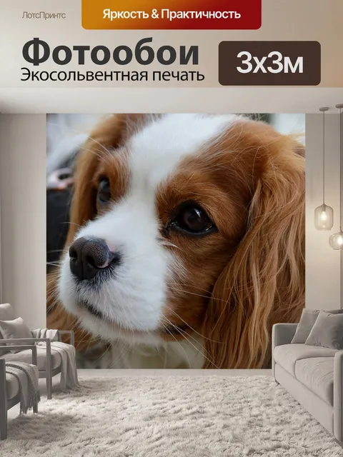Фотообои Собака