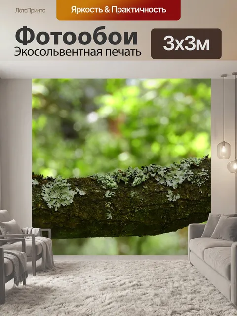 Фотообои Лишайник