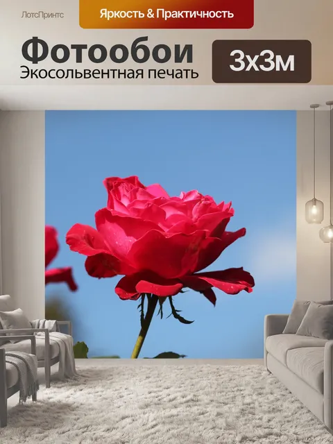 Фотообои Красная роза