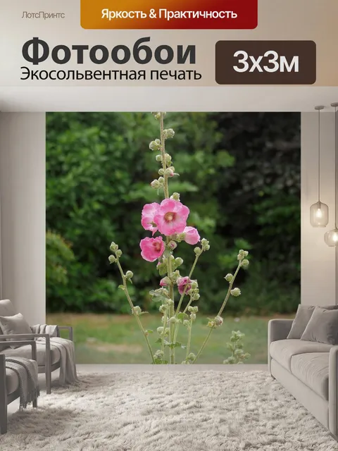 Фотообои Мальва