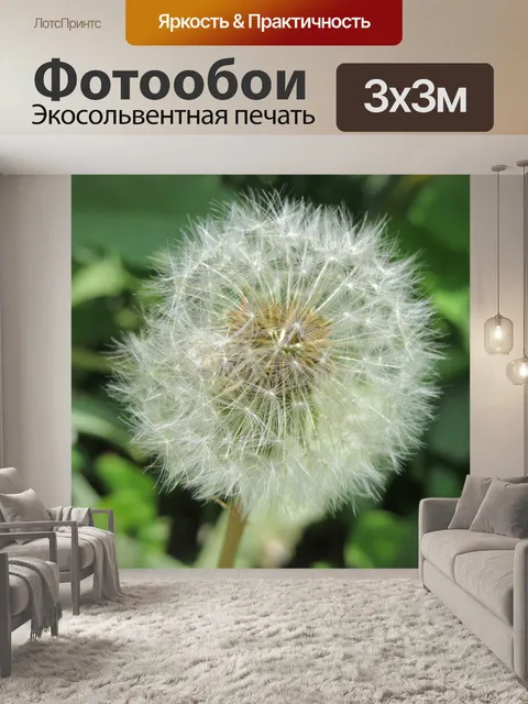 Фотообои Одуванчик