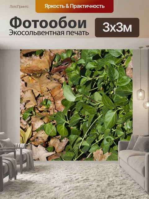 Фотообои Зеленый и коричневый листья