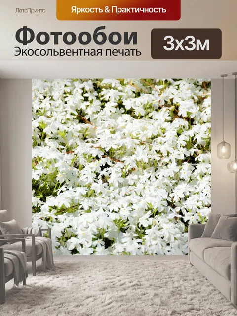 Фотообои Белый цветочный фон