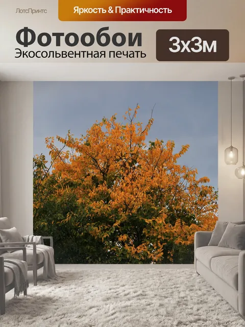Фотообои ветви с желтыми листьями