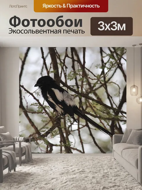 Фотообои Птица