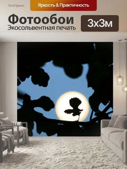Фотообои полная луна за лист