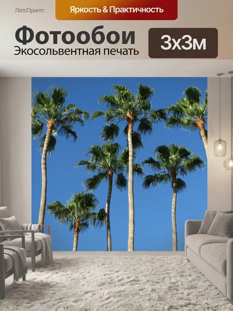 Фотообои Пальмы