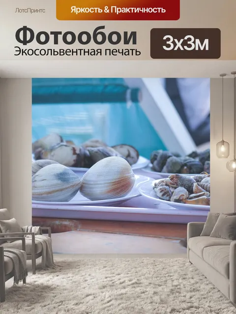 Фотообои Улитка