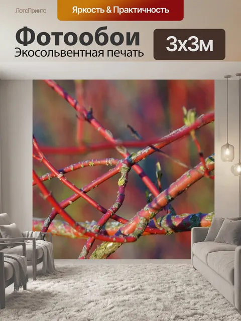 Фотообои Белый кизил