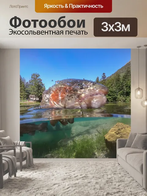 Фотообои Акула Швейцарии