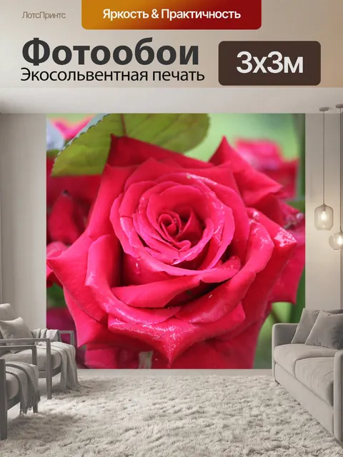 Фотообои Дикий Красная роза