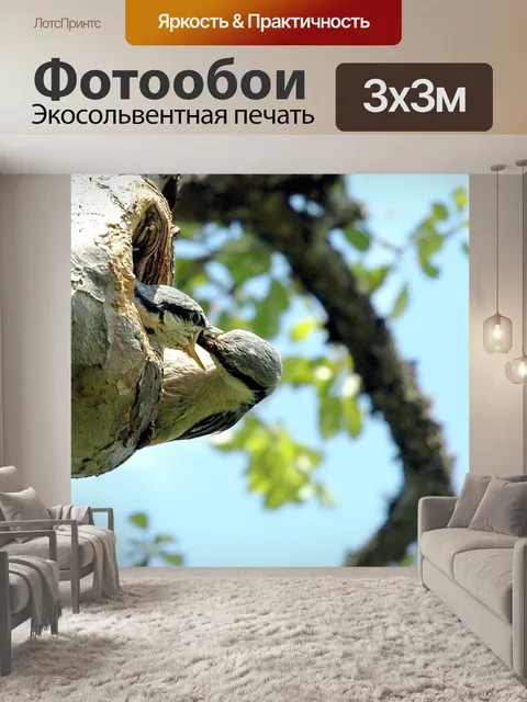 Фотообои Птица