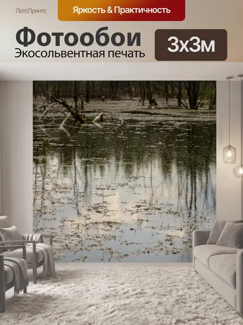 Фотообои Болото