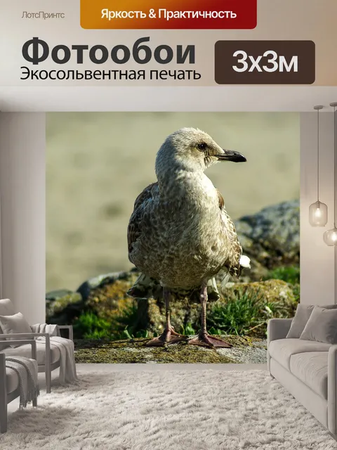Фотообои Птица