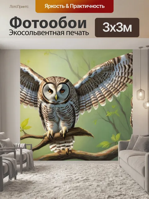 Фотообои с совой