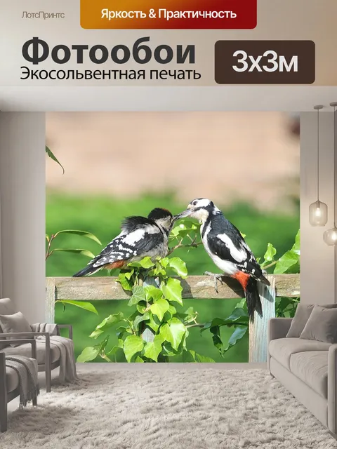 Фотообои Дятел