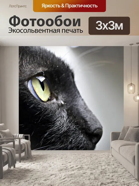 Фотообои Черный кот