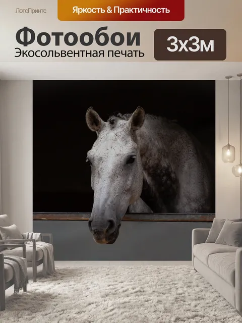 Фотообои Конный спорт