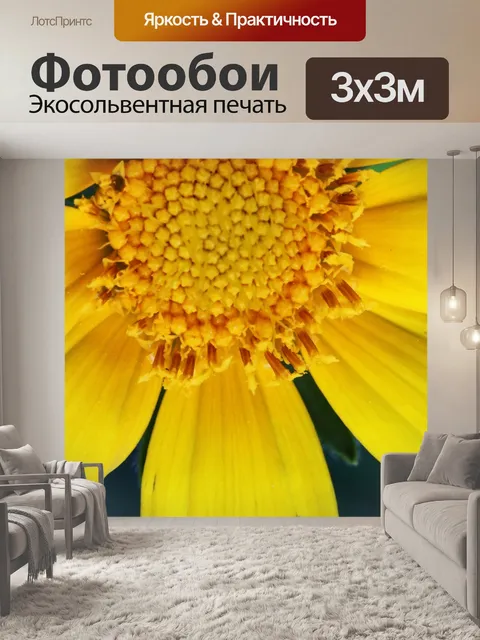 Фотообои вид на центр желтой ромашки