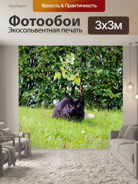 Фотообои Кошка