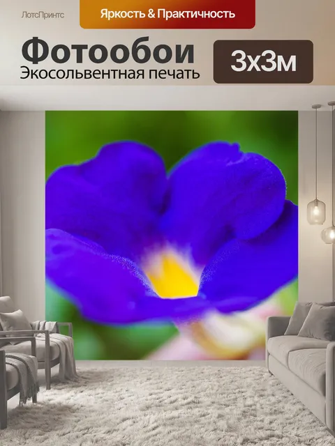 Фотообои красочный цветок макро выстрел