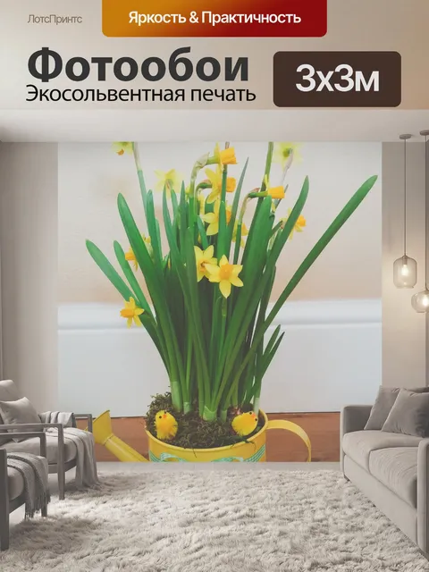 Фотообои Лейка и нарциссы