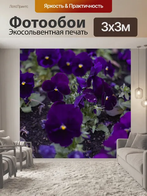Фотообои Фиолетовый
