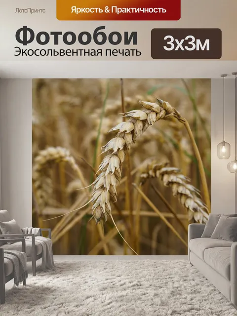 Фотообои Пшеница