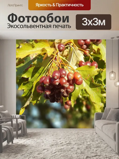Фотообои Дерево