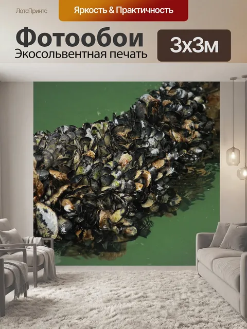 Фотообои Море