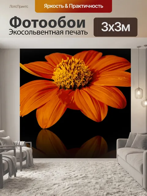 Фотообои Мексиканский подсолнух, цветок