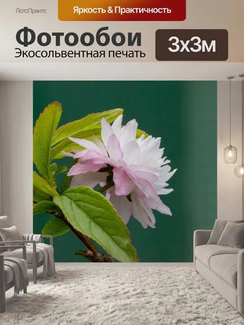 Фотообои Сливовый босс