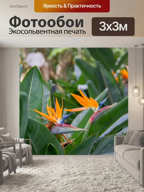 Фотообои Цветок райской птицы