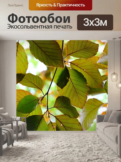Фотообои Листья