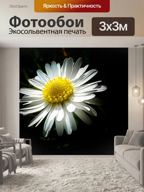 Фотообои Маргаритка