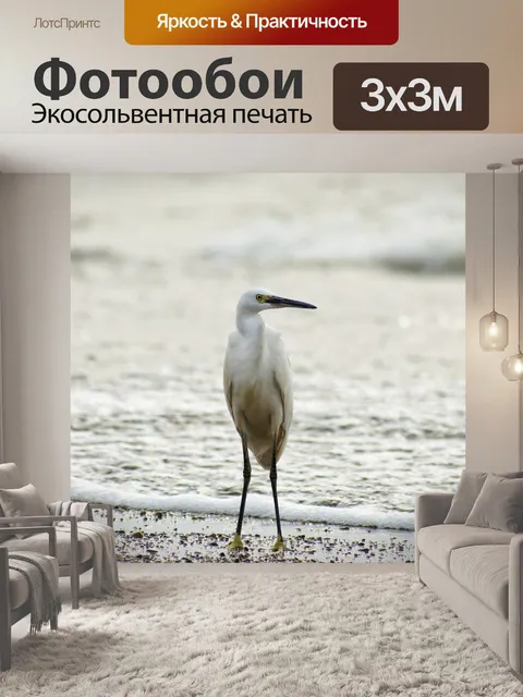 Фотообои Животное
