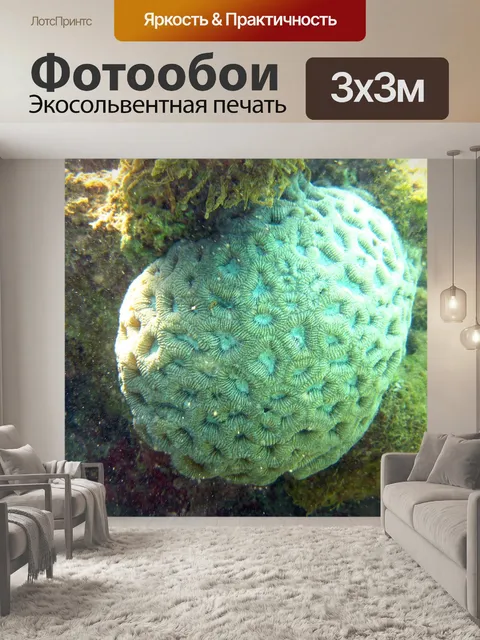Фотообои Коралловый
