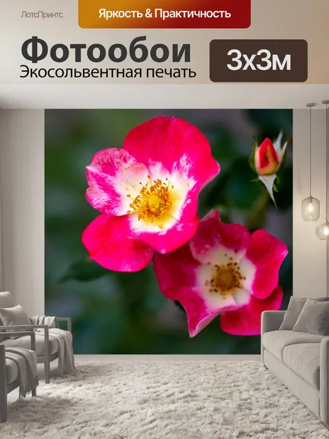 Фотообои Розы