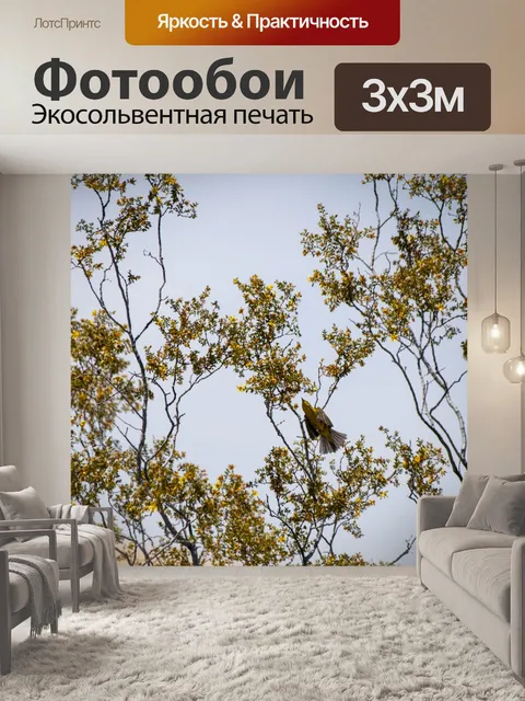 Фотообои Птица в пустынной кисти