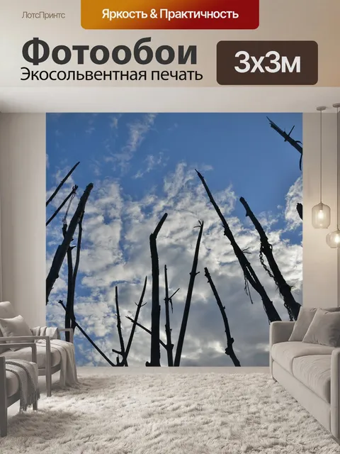 Фотообои Ветви