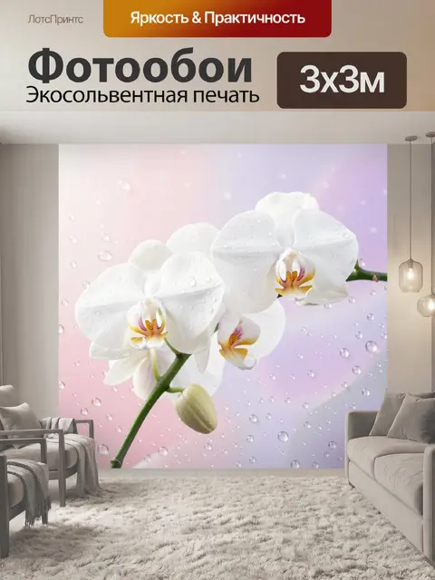 Фотообои Белые орхидеи с каплями росы