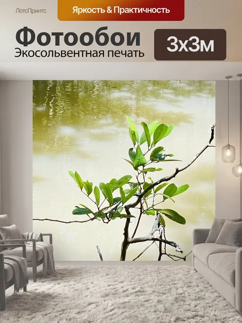 Фотообои Мангровый лес