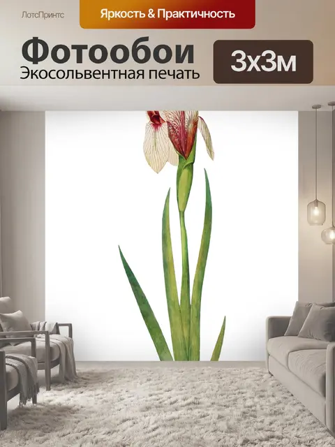 Фотообои Винтажный клипарт цветок ириса