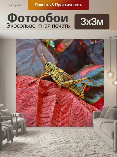 Фотообои Курсовая