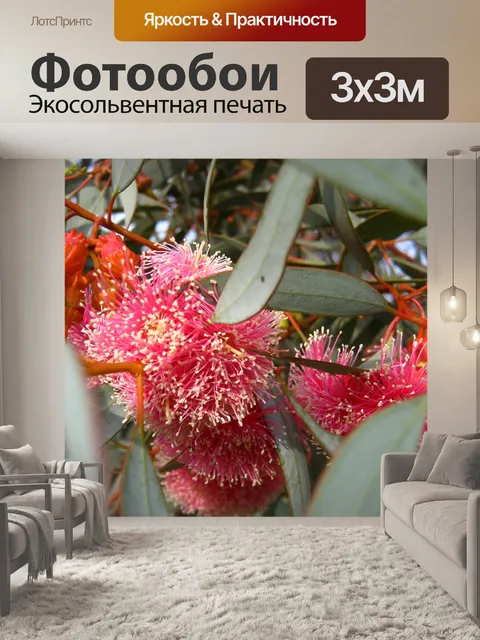 Фотообои Цвести