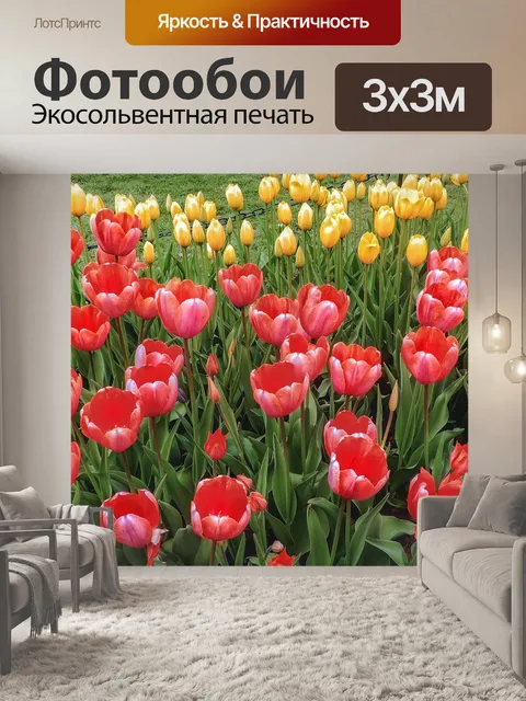 Фотообои Тюльпаны