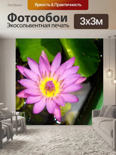 Фотообои Розовый и желтый Кувшинка