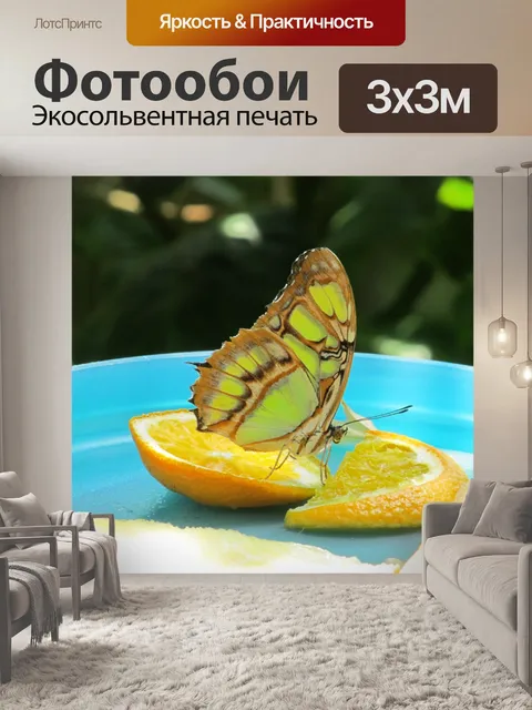 Фотообои бабочка