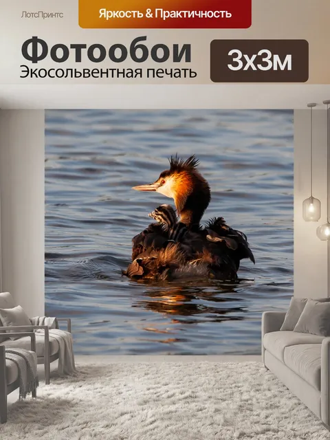Фотообои Большая поганка